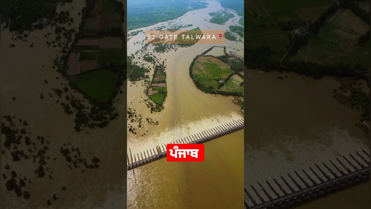 Talwara Dam | Pong Dam | 52 Gate | 