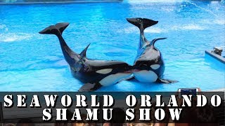 SEAWORLD SHAMU “One Ocean” KILLER WHALE SHOW