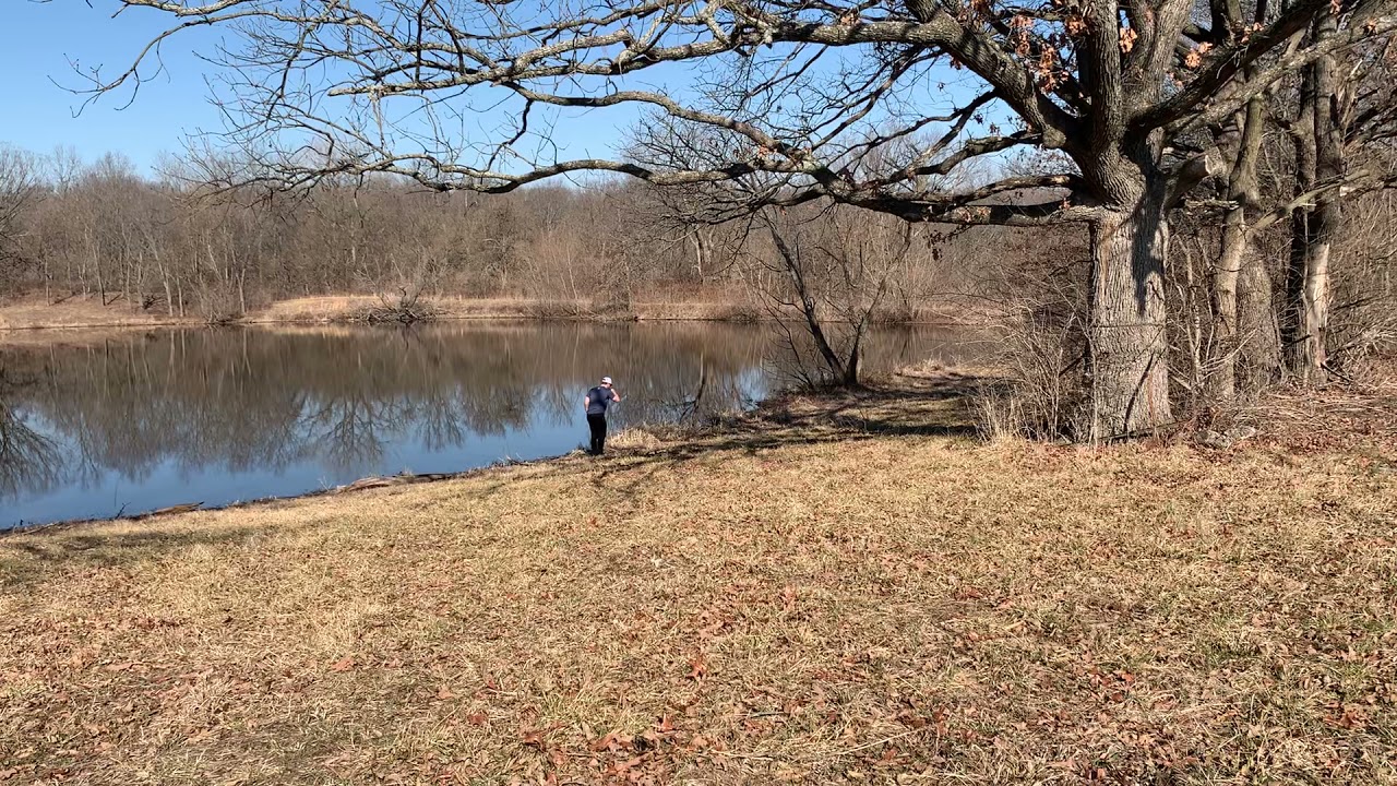 Blue Label Mag Hen UpperDuck.com TAKE 2