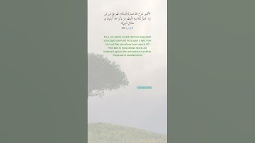 اكتب شيء تؤجر عليه.   #قرآن #آيات #راحة_نفسية #الحمدلله #اكسبلور #كتب #تحفيز