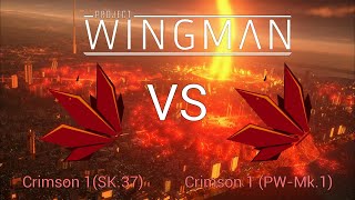 [Project Wingman] 