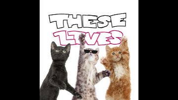 HARD TIMES !!! 🎸😼🥁