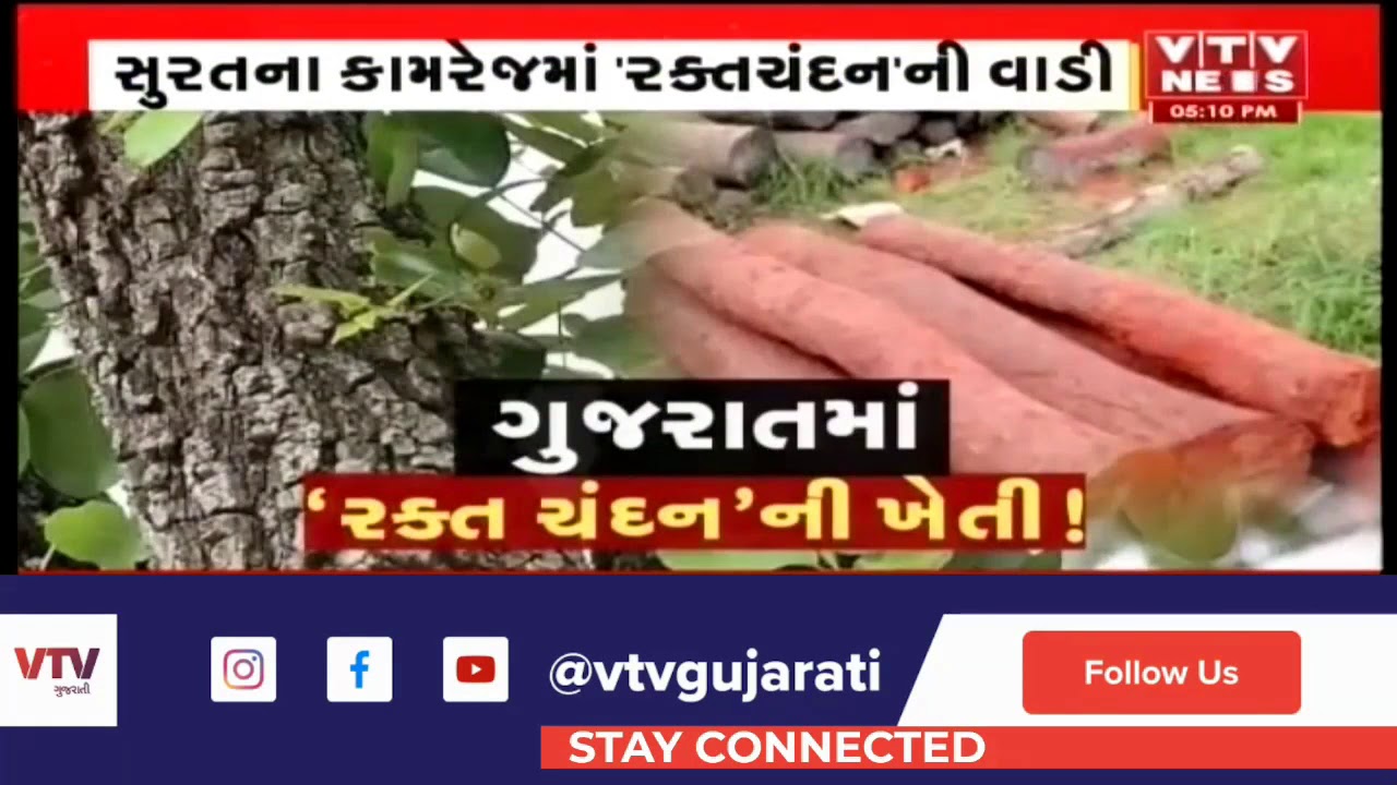 આ ખેડૂતે કરી એવી ખેતી કે 5 લાખના રોકાણ સામે મળશે 1500 કરોડ રૂપિયા, જાણો તમામ માહિતી એક ક્લિકે