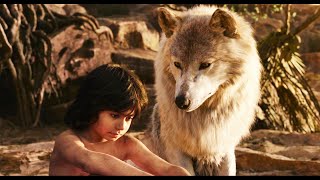 【奇幻森林】小男孩被狼群养大，6岁就能打死斑斓猛虎，最终当上森林之王「一语道破电影」