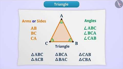 Triangles, Quadrilaterals and Circles | Part 1/4 | English | Class 6