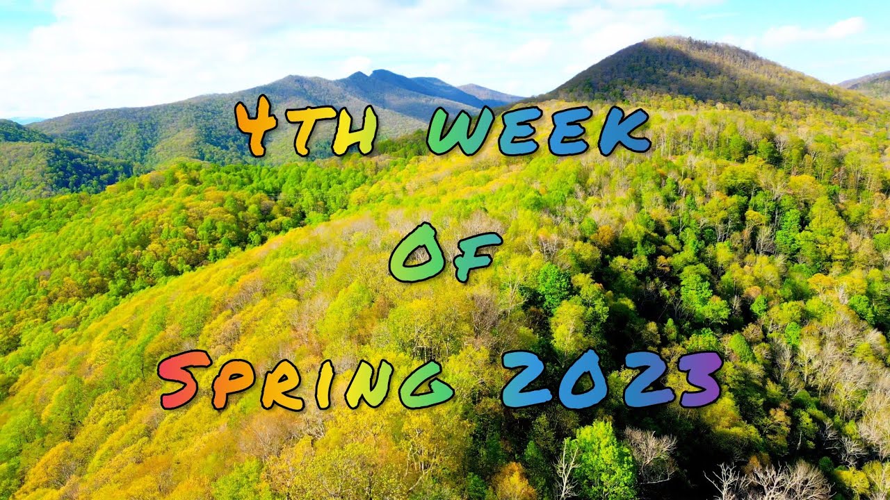 Blue Ridge 460 Spring 4th week of spring 2023. Blue Ridge Mountains NC - YouTube
