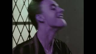 Schwefelgelb - Ganz Egal Was Ich Mach