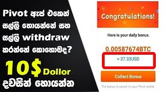 How To Use Pivot App Sinhala - 
