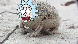 Angry Squeaking Rick