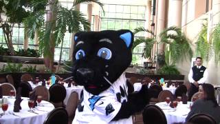 Carolina Panthers' Sir Purr Comes to Lunch - Part 1