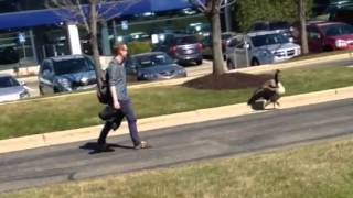 Thug Life - a goose named Fred