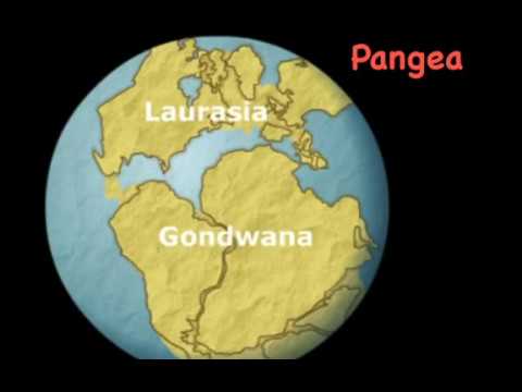 Video: ¿Qué característica geográfica forma la División Continental?