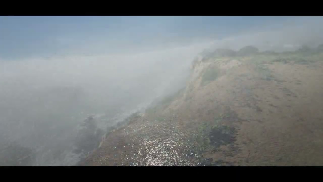 Vicente Bluffs Reserve Wildflowers | Palos Verdes Coastal Trail.  2/2/2026