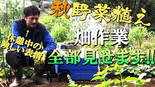 【池's farm#8】畑作業全部見せます！秋野菜植えスタート！！