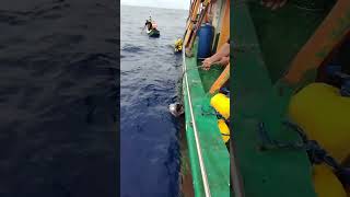 Big eye tuna Handline catching #handfish #viralvideo #fishing #bigeyetuna #youtubeshorts