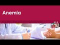 Anemia. Algoritmo Diagnóstico Hematología