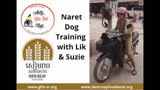 Naret Dog Training