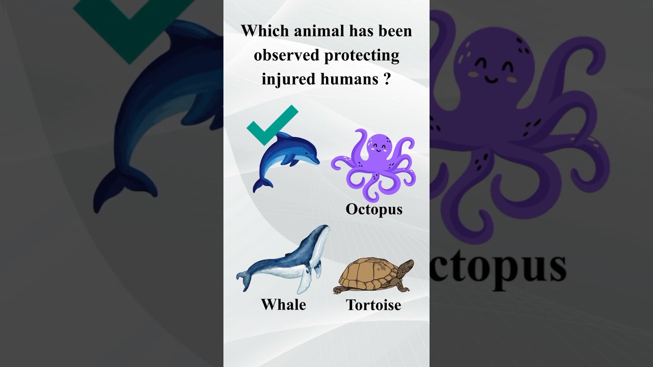 “Only Smart People Can Answer These Human–Animal Bond MCQs"