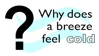 Why does a breeze feel cold?