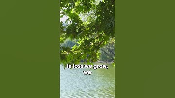 Hope Amidst Grief #grief #griefjourney #healing #youtubeshorts #loss #faith  #motivation #hope