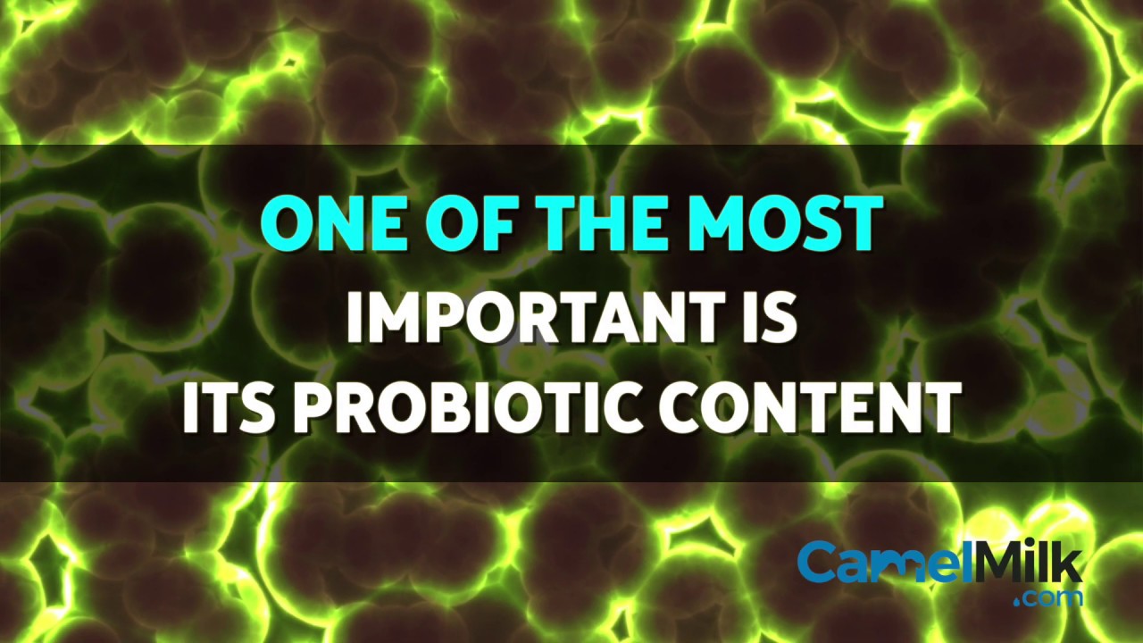camera iphone 8 plus apk Why Camel Milk May Be A Great Option If You Have Crohn’s Disease