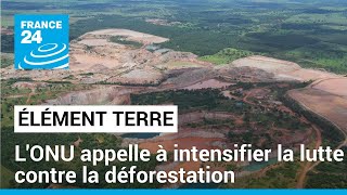 Lonu Appelle À Plus Dengagement Des Etats Contre La Déforestation • France 24