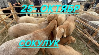 видео: Кой базар сокулук мал базары 25- октябр картинка: Кой базар сокулук мал базары 25- октябр