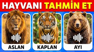 Guess the Animal by its Sound 🐶🦁🔊 | 40 Animal Sounds Contest screenshot 4