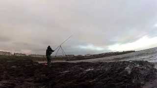 cullercoats cod fishing