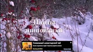 Монастырский чай отзывы врачей Монастырский чай отзывы врачей