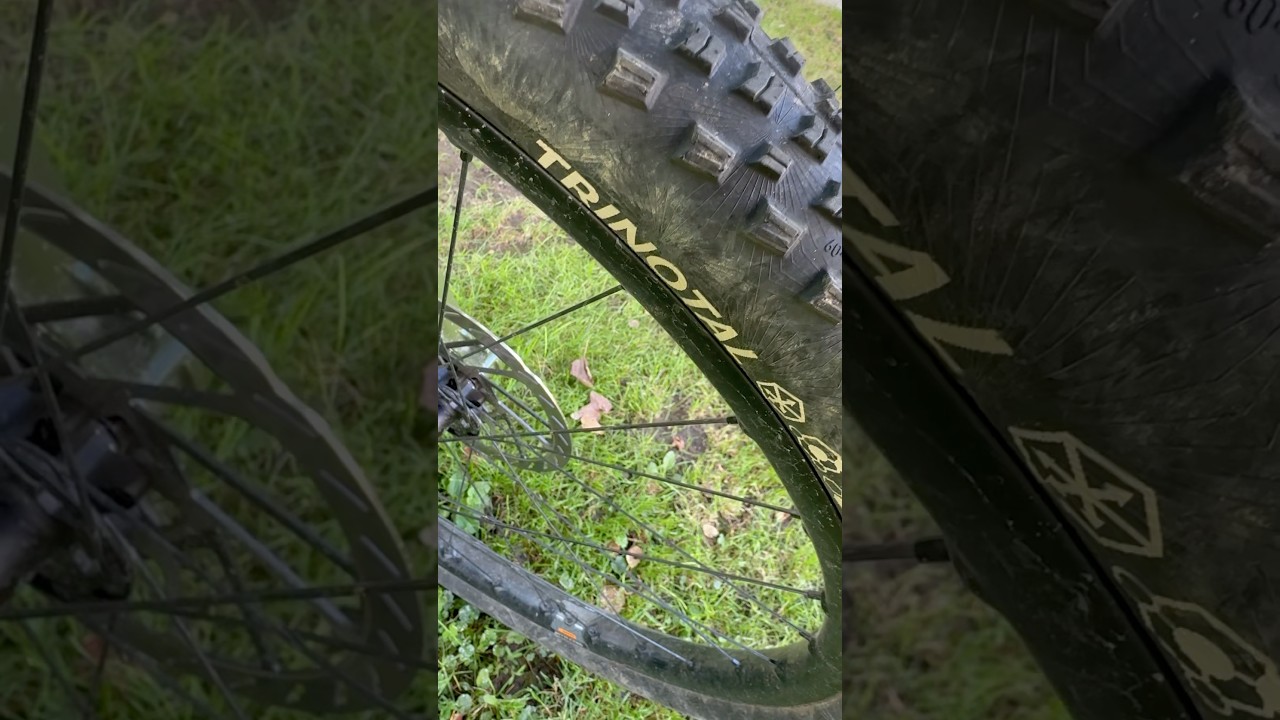 Noile Continental Trinotal. 