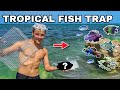 BAIT TRAP CATCHES COLORFUL TROPICAL REEF FISH!!