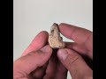 Vidéo: Euxénite, Ankazobe, Madagascar, 31 grammes