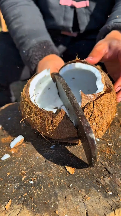 A unique way to extract the kernel from inside a coconut #shorts #coconut