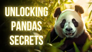 10 Facts you Didn't Know about Pandas