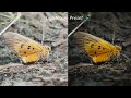 How To Mobile Macro Photography Video | Mobile Macro Photo Editing Lightroom |
