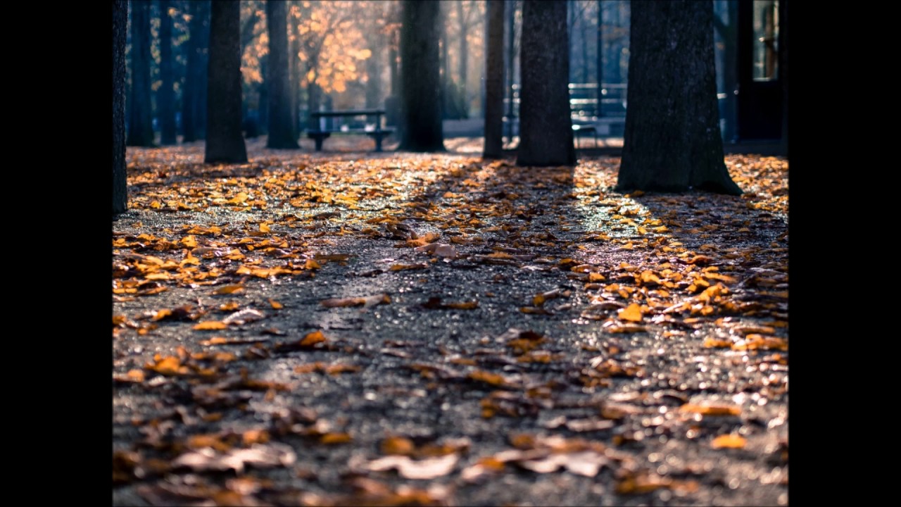 Tara Brach Explores Part 1 - Awakening Consciousness in Shadowy Times