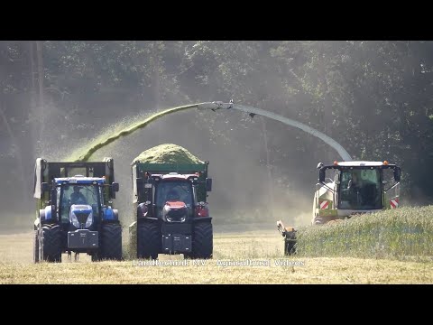 Claas - Case