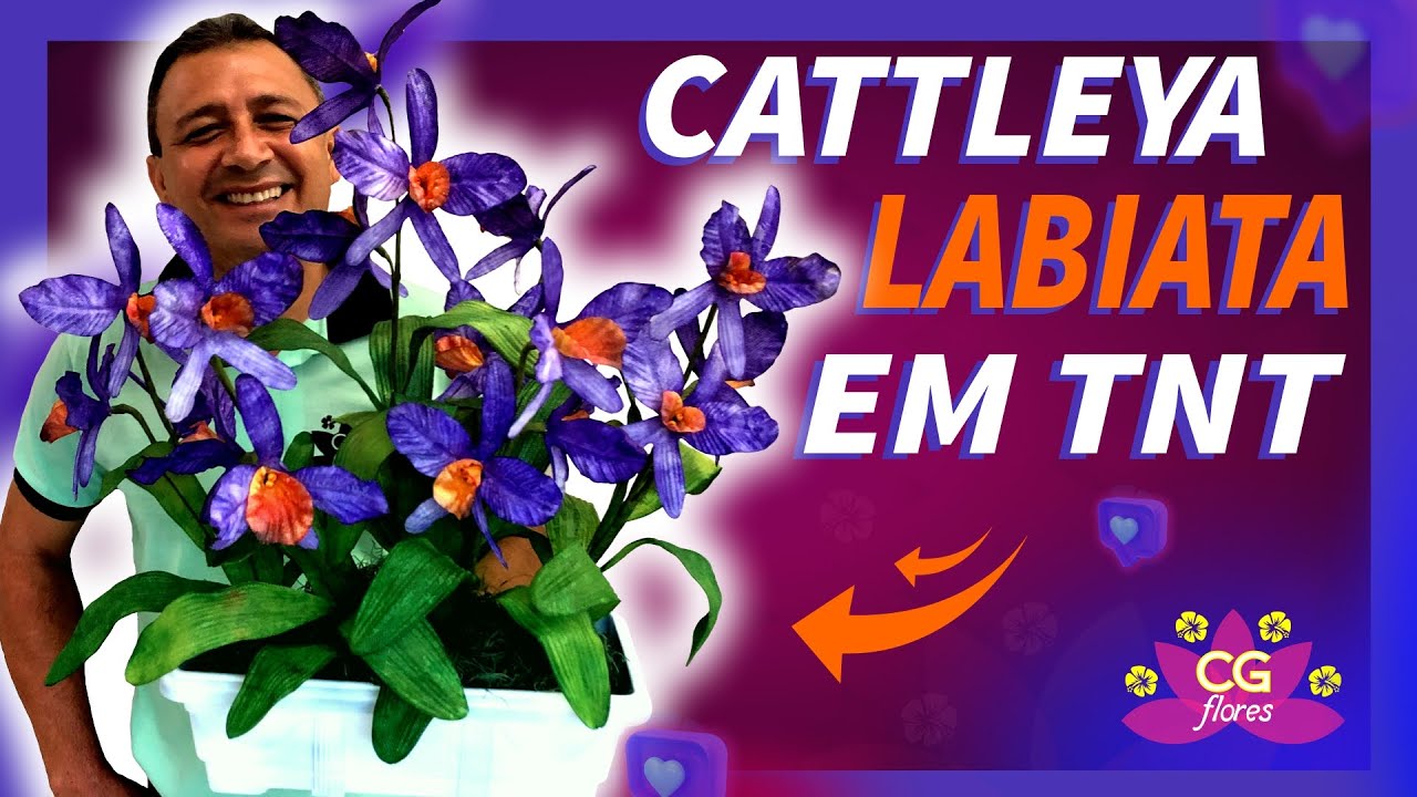 ORQUÍDEA CATTLEYA LABIATA EM TNT | PASSO A PASSO