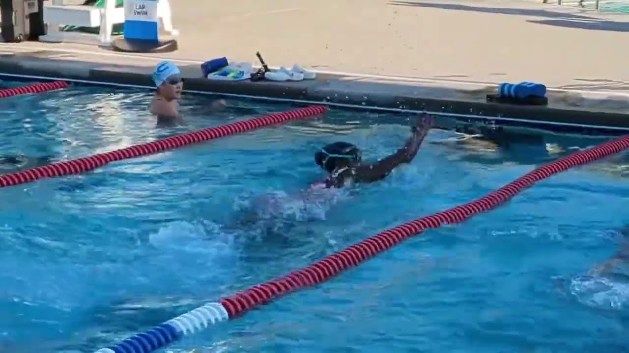 The Calm Tree | Swimming to Fly 