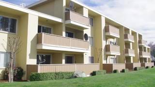 Pentagon apartments for rent in fremont, ca on forrent.com: (510)
556-3033 -
http://www.forrent.com/apartment-community-profile/1023076.php
availability, pri...