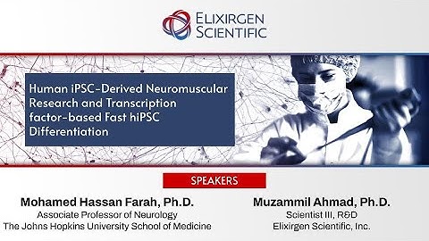 Webinar: Human iPSC-Derived Neuromuscular Research & Transcription factor-based iPSC Differentiation