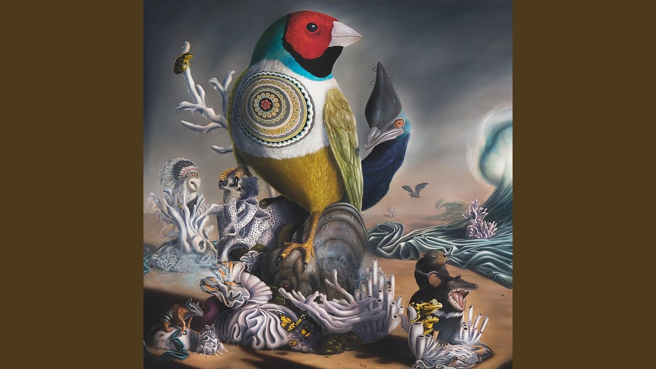 Watch A Circle on YouTube Watch A Circle on YouTube