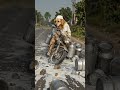 #dogs #dogshorts #class #viral #videos #ai #aivideo #aishorts #aianimation #viralreels #viralnews