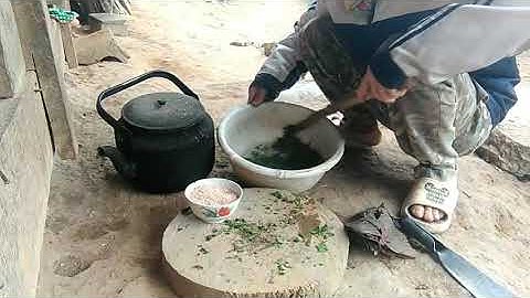 Tshuaj qaib mob plab tso quav dawb...