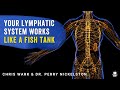 Your lymphatic system works like a fish tank  dr perry nickleston