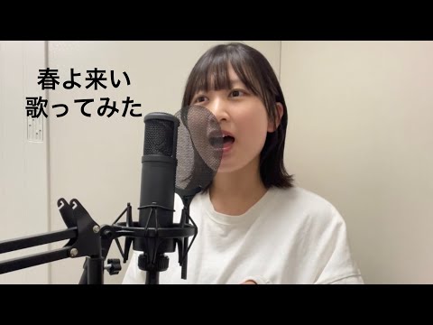 【春ソング】　松任谷由美　春よ来い　歌ってみた　つぐみんcover