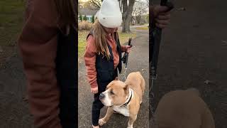 9 Year Old And A Prong Collar