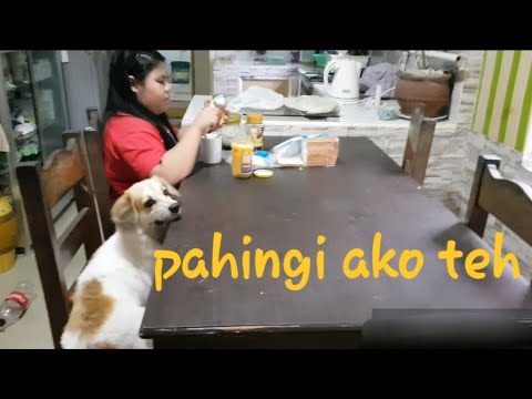 Video: Paano Ko Makukuha Ang Aking Aso Na Mawalan Ng Timbang?