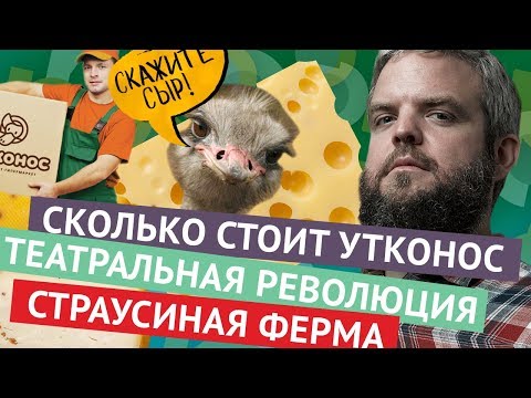 Борис Брюква: Театр, страусиная ферма, «Утконос»